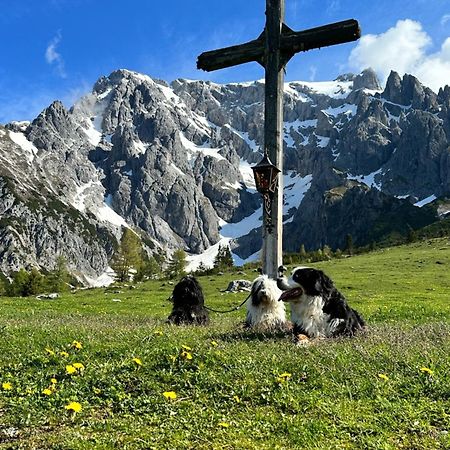 Apart Ursus Hinterthal Maria Alm am Steinernen Meer Zewnętrze zdjęcie