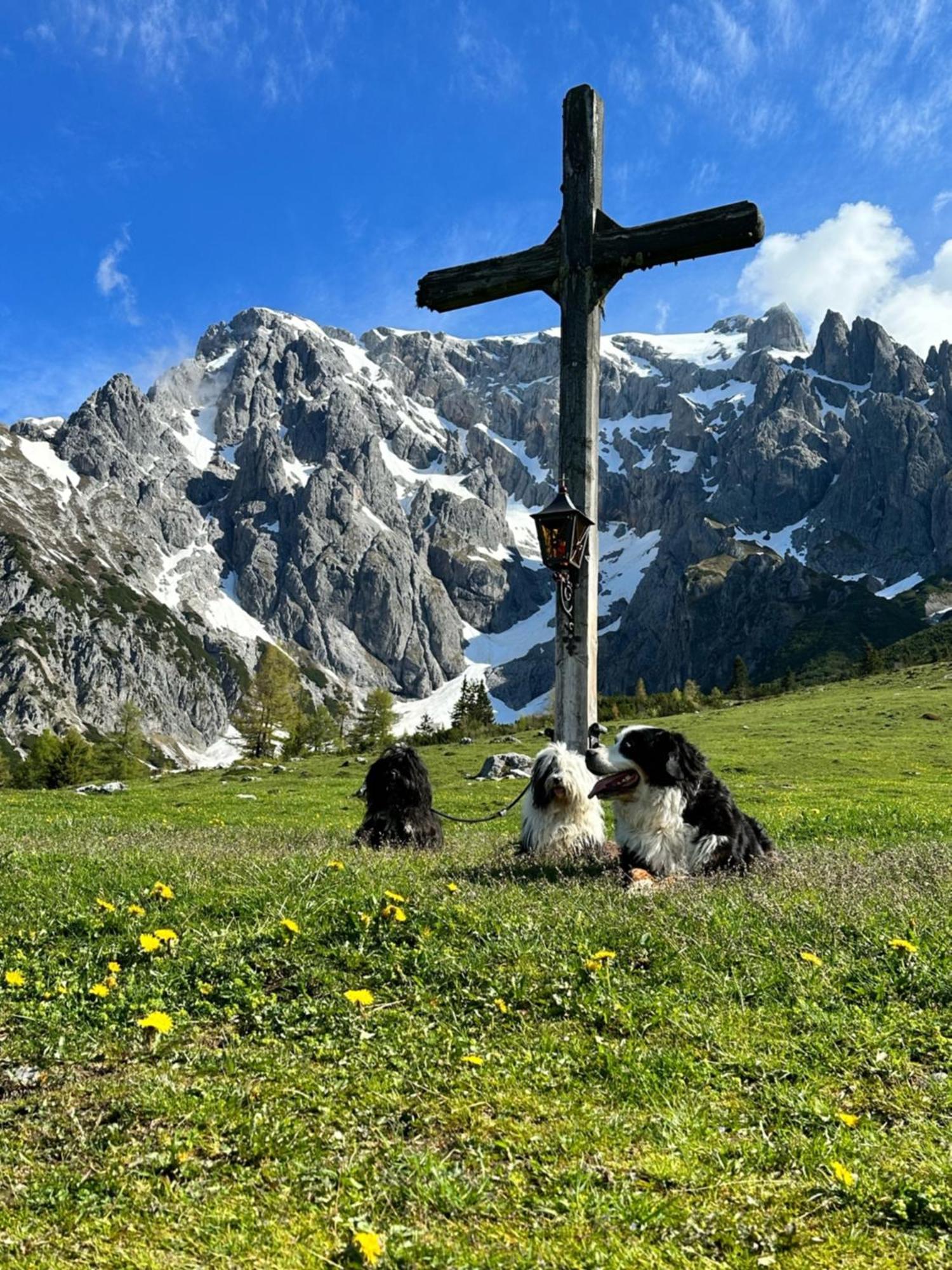 Apart Ursus Hinterthal Maria Alm am Steinernen Meer Zewnętrze zdjęcie