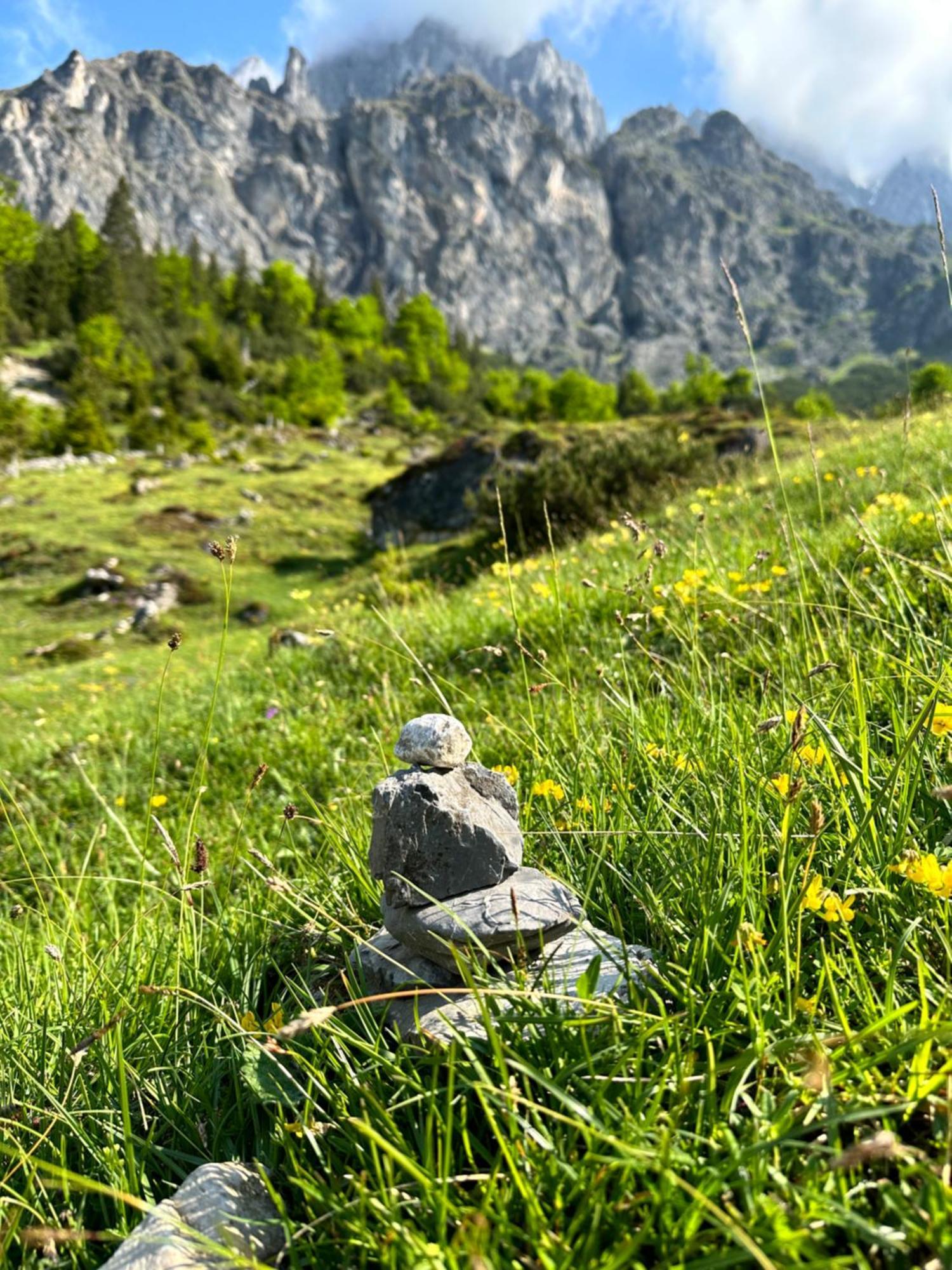 Apart Ursus Hinterthal Maria Alm am Steinernen Meer Zewnętrze zdjęcie