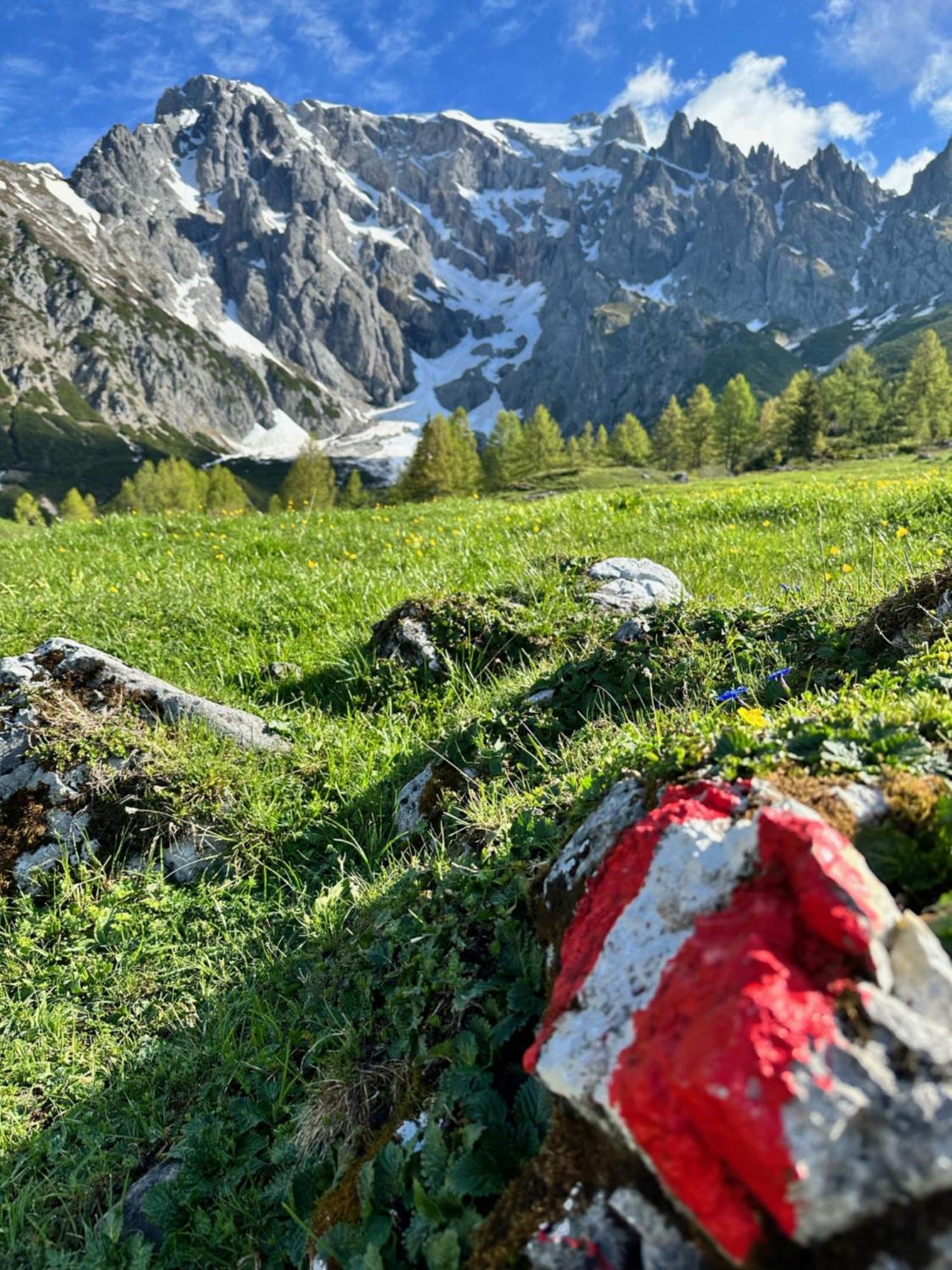 Apart Ursus Hinterthal Maria Alm am Steinernen Meer Zewnętrze zdjęcie